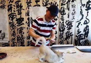 崔永元最新视频爆料,揭露娱乐圈惊人内幕
