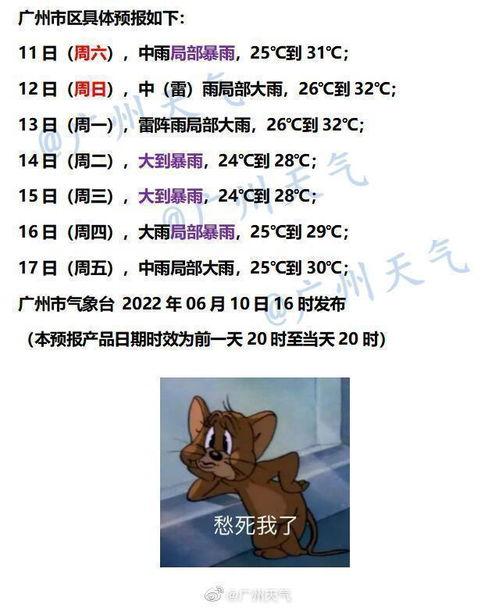 广州主播爆料最新消息,揭秘城市热点事件背后的真相