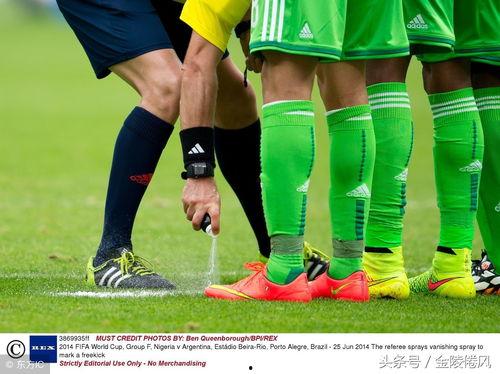 世界杯比赛最新爆料,最新爆料揭秘神秘对决